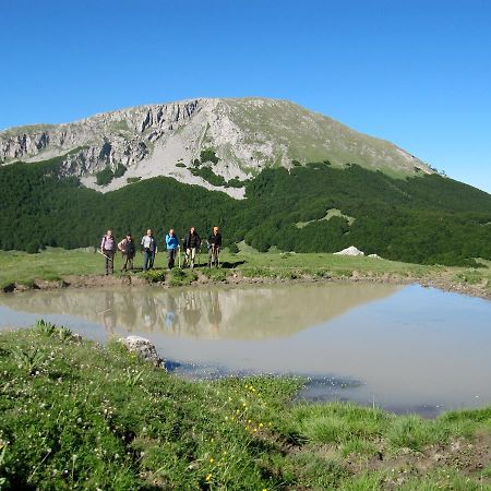 B&B Sole Del Pollino Ротонда Екстериор снимка