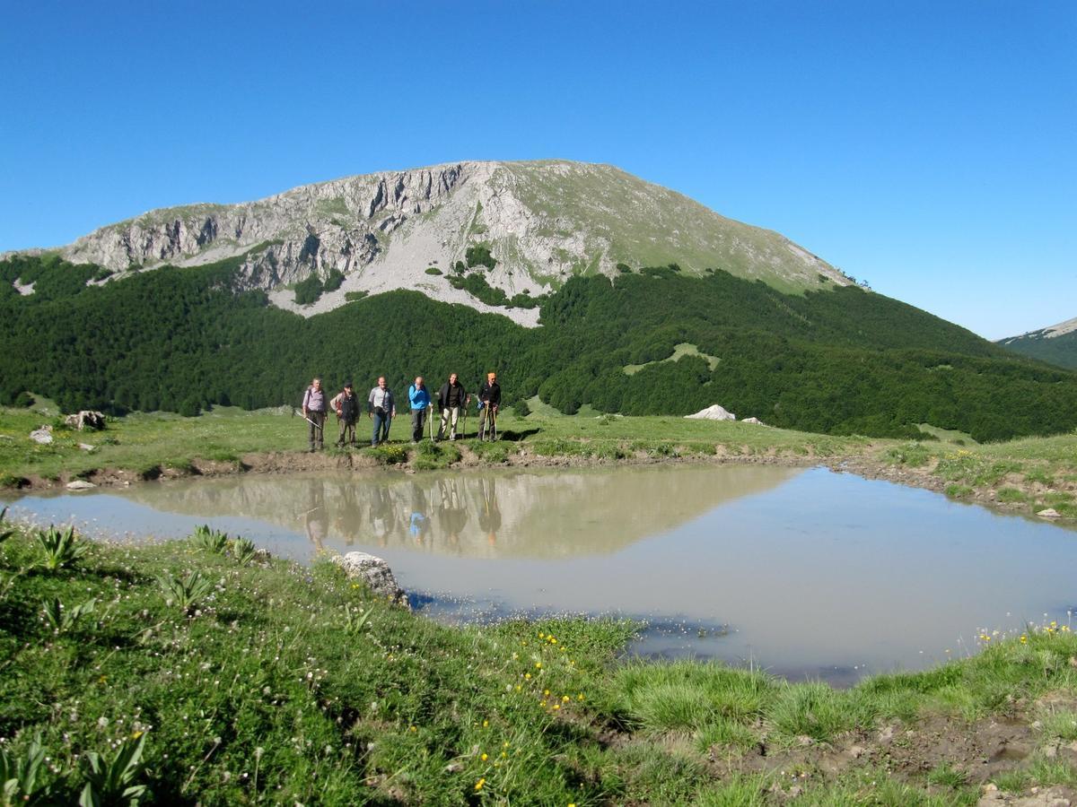 B&B Sole Del Pollino Ротонда Екстериор снимка